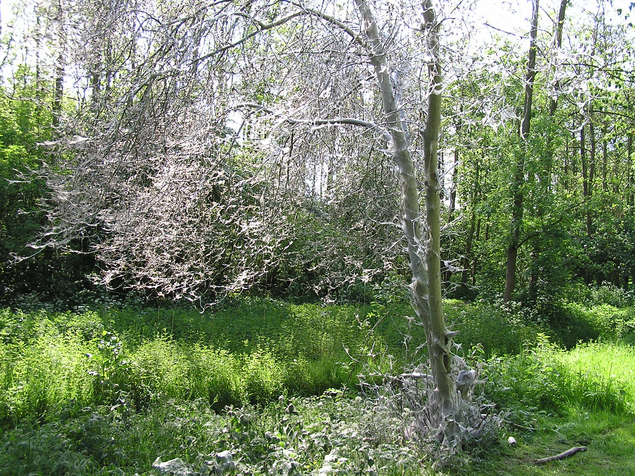 P1010075.JPG