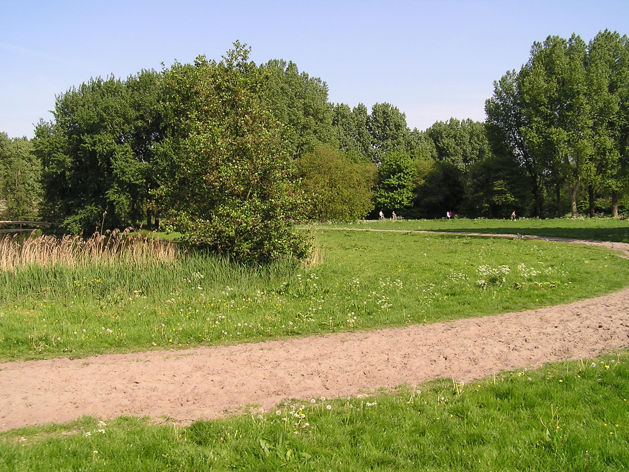 P1010077.JPG