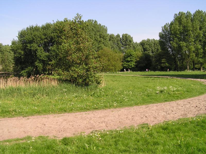 P1010077.JPG