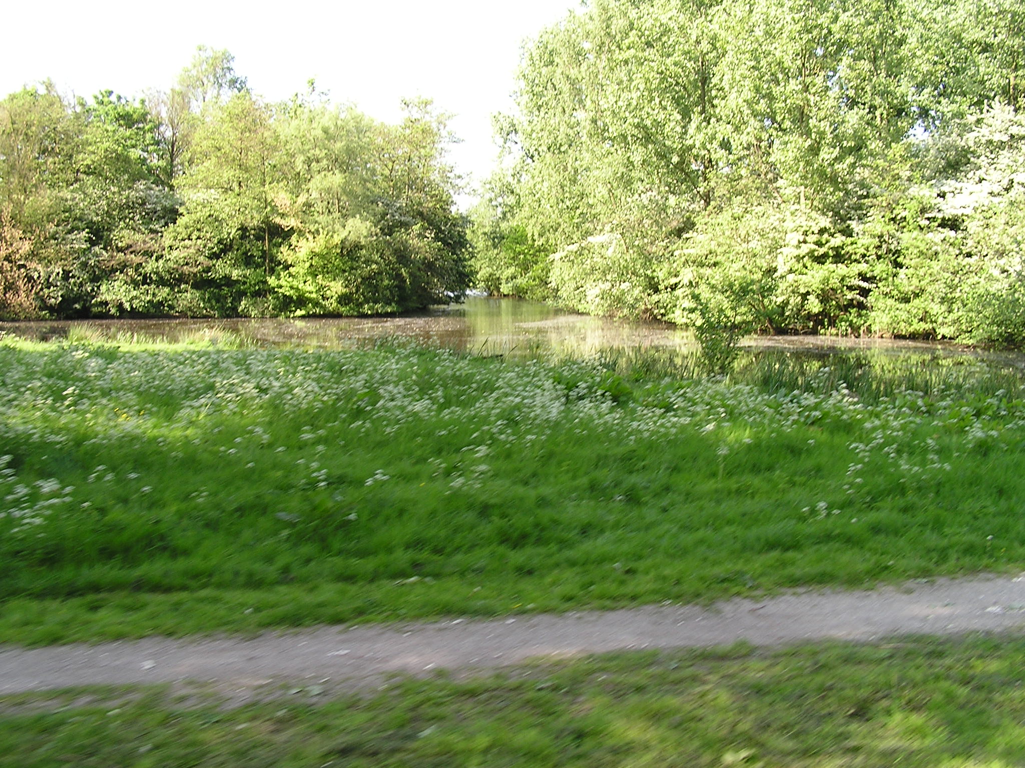 P1010079.JPG