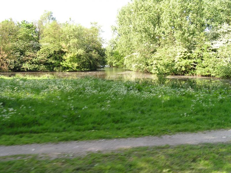 P1010079.JPG