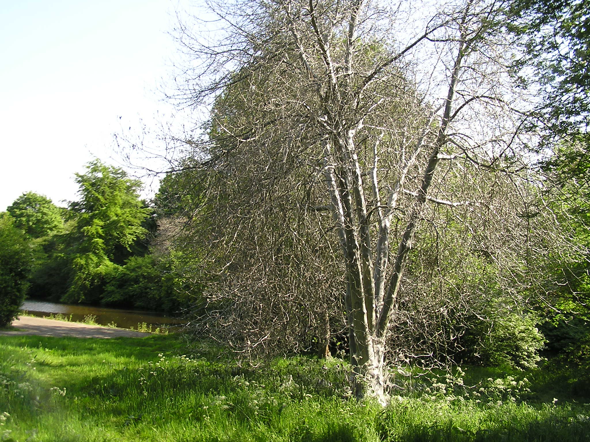 P1010081.JPG