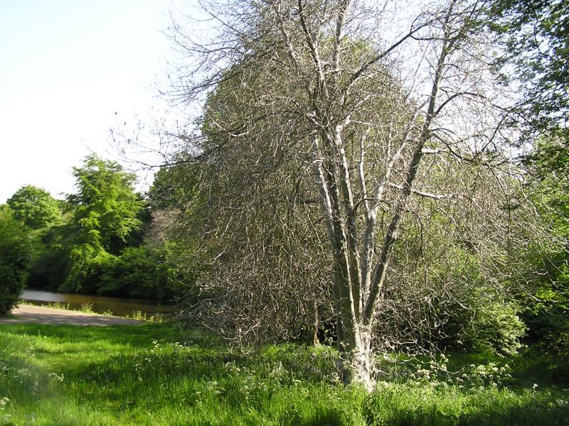 P1010081.JPG