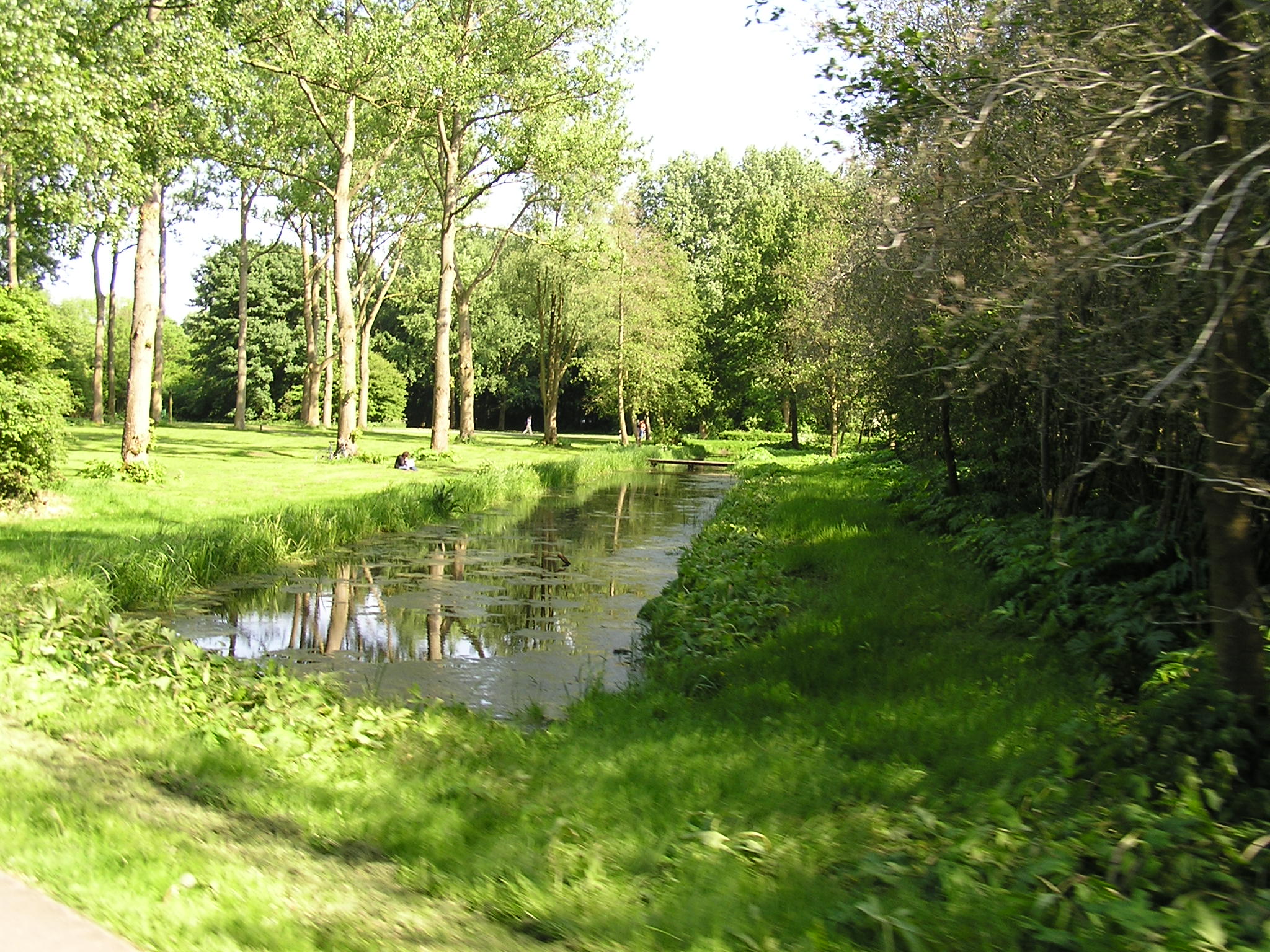 P1010082.JPG