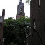 P1010010.JPG