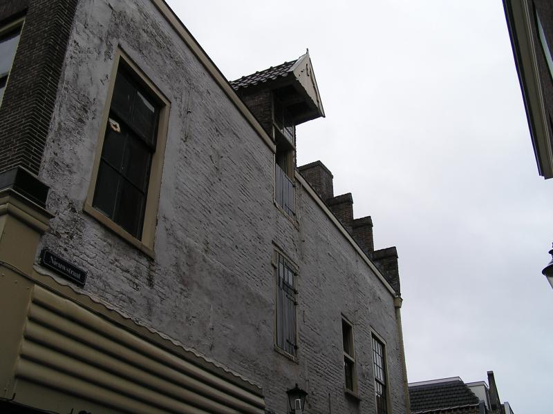 P1010018.JPG