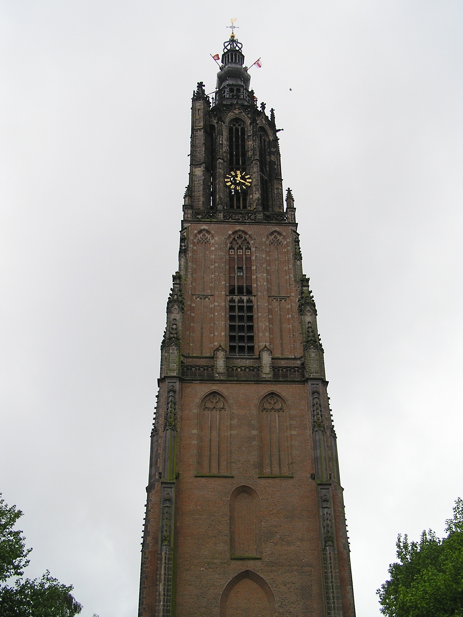 P1010034.JPG