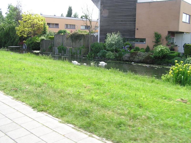 P1010003.JPG