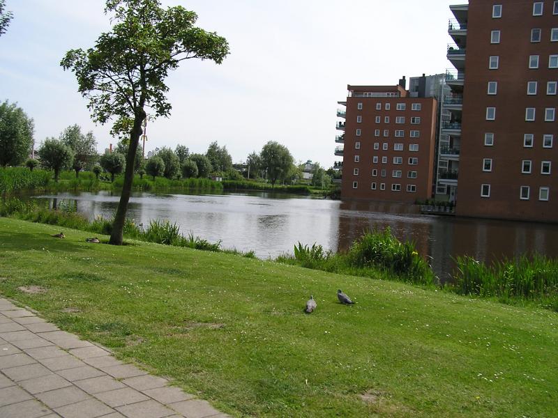 P1010004.JPG