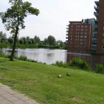 P1010004.JPG