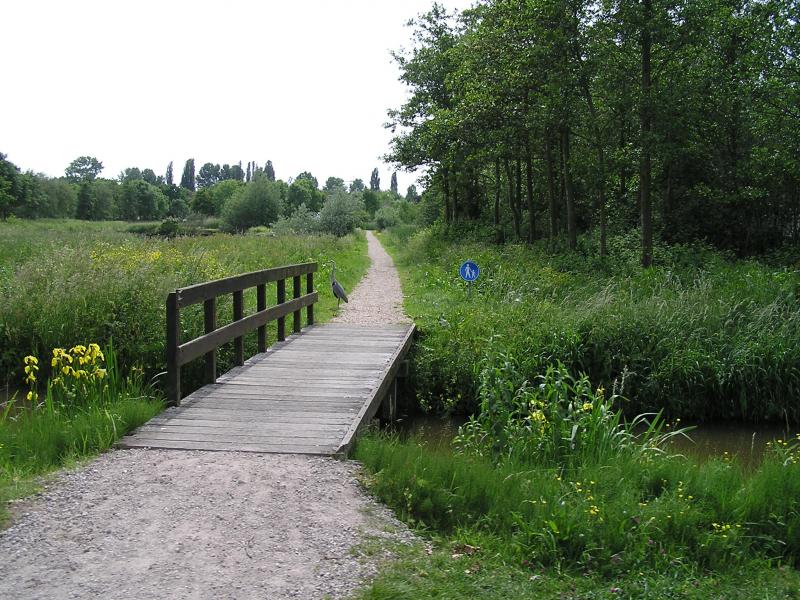 P1010014.JPG