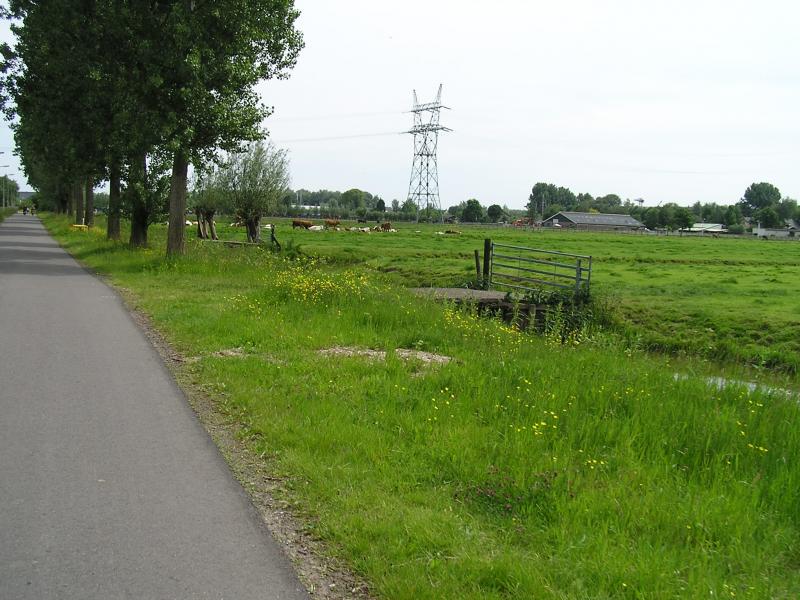 P1010015.JPG