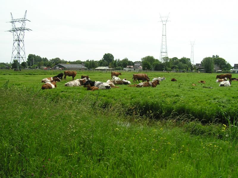 P1010016.JPG