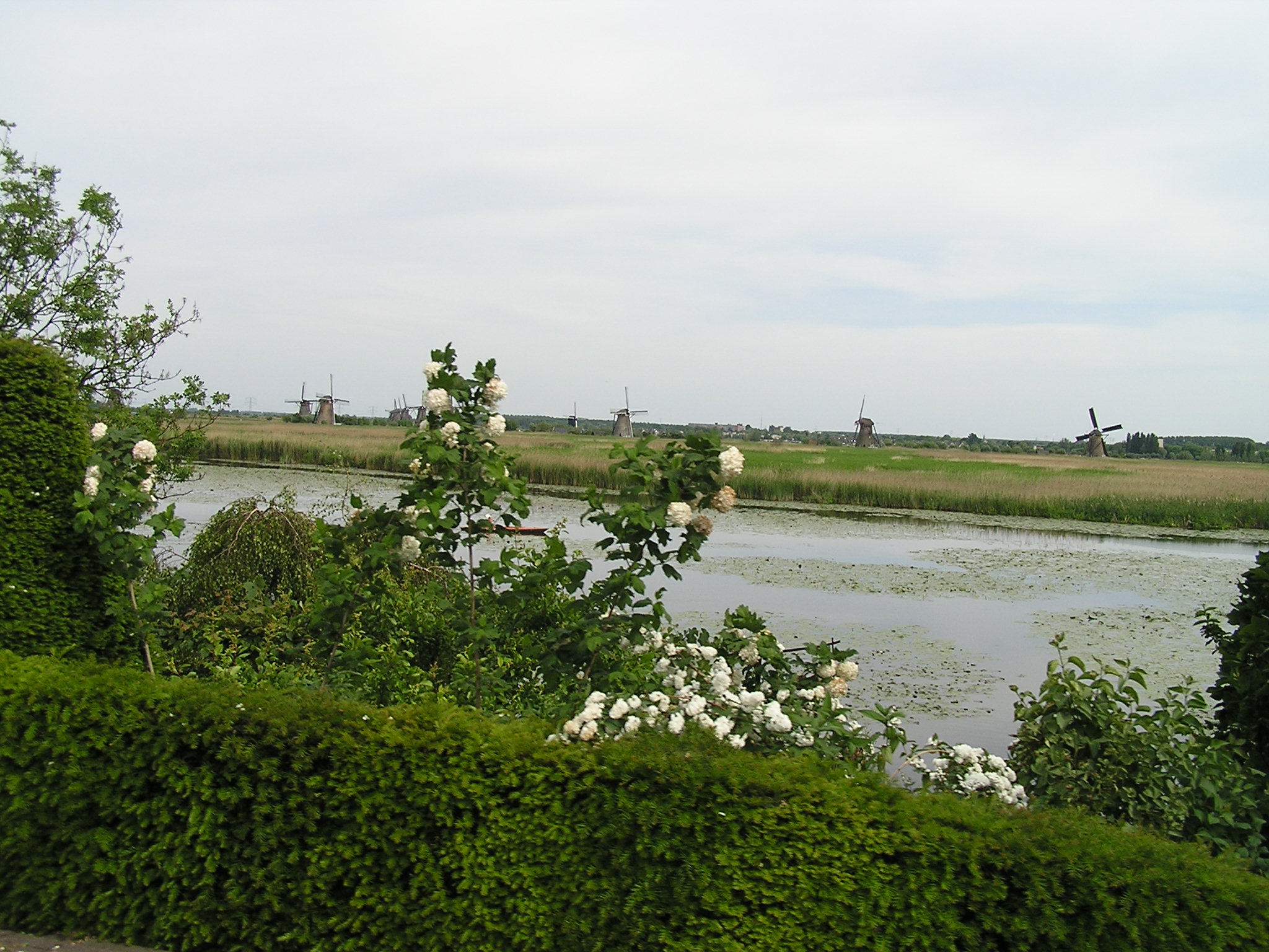 P1010086.JPG