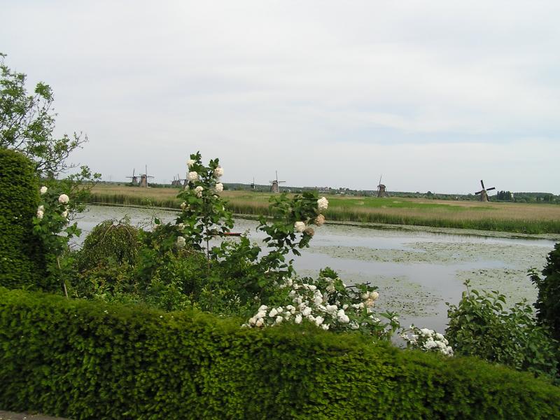 P1010086.JPG