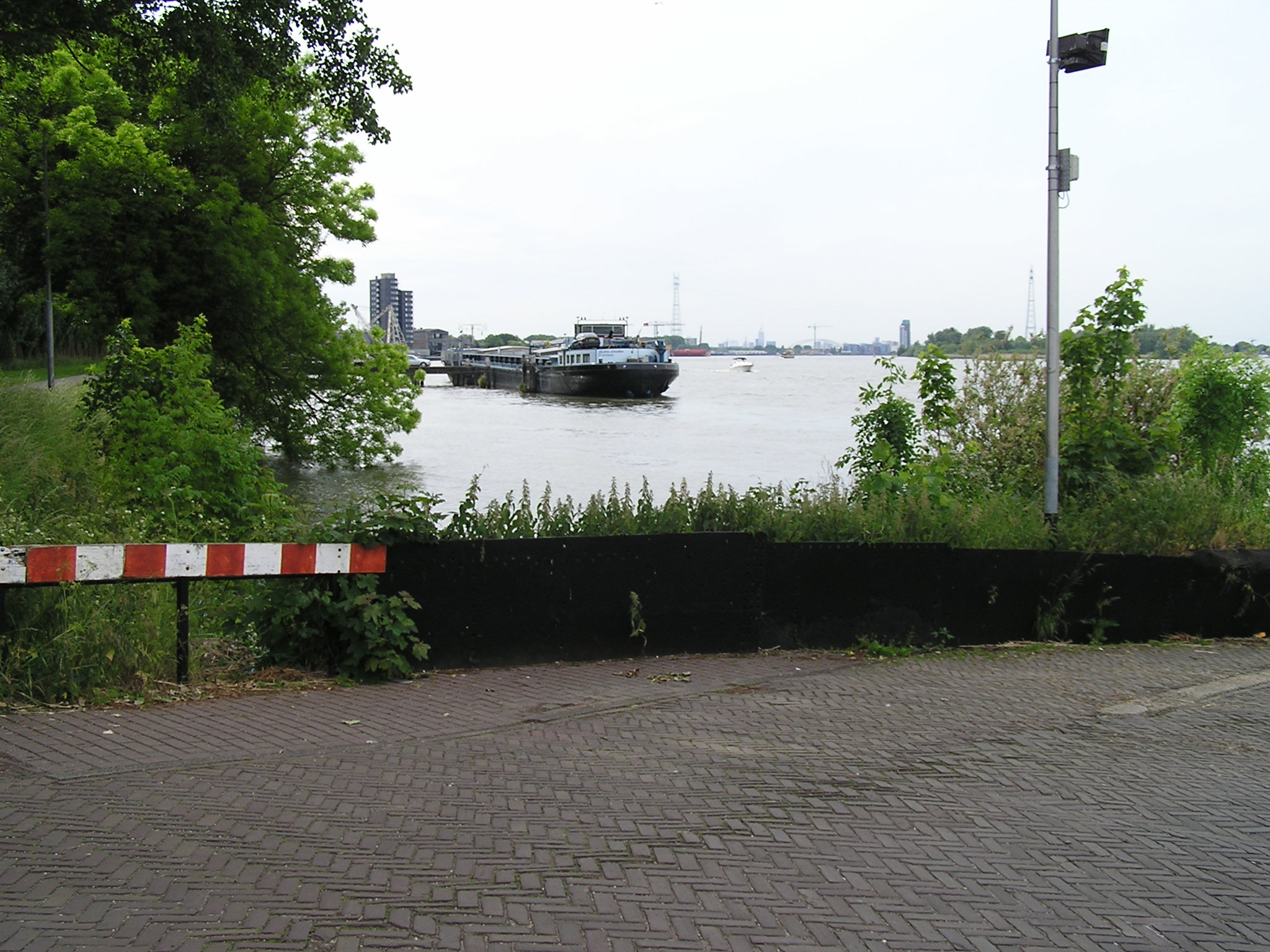 P1010089.JPG