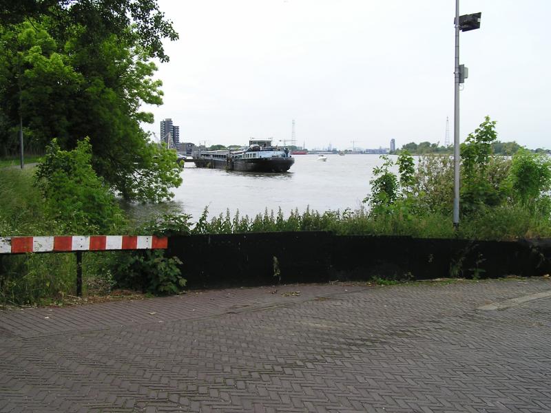 P1010089.JPG