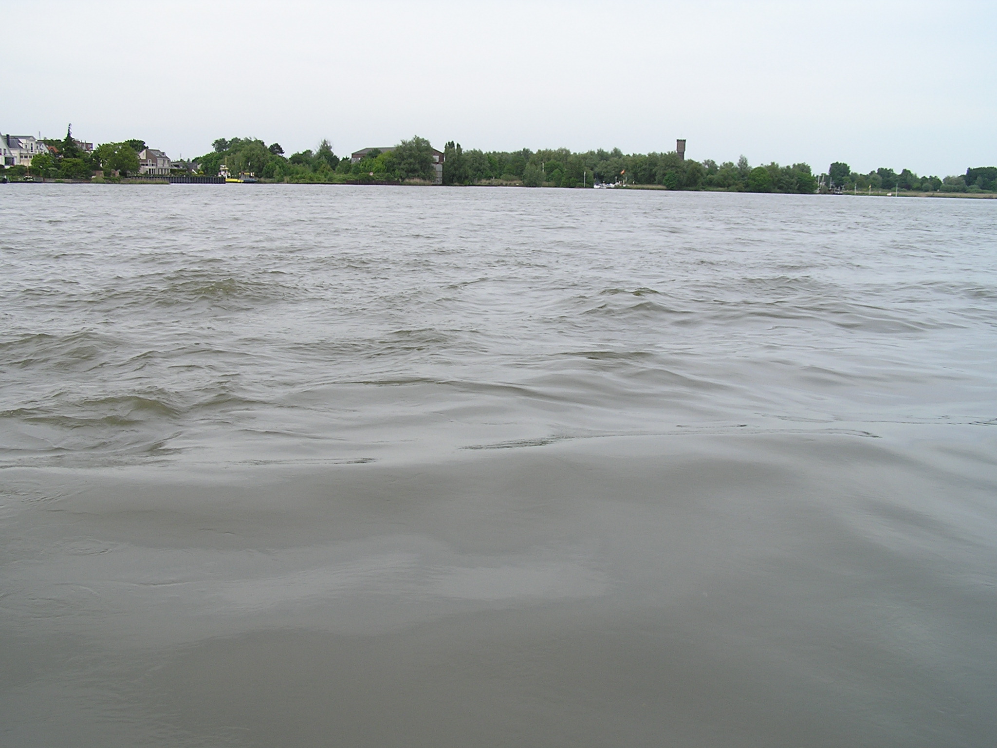 P1010096.JPG