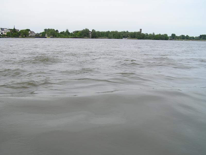 P1010096.JPG