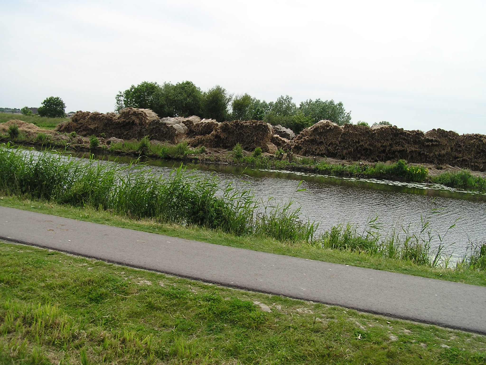 P1010042.JPG
