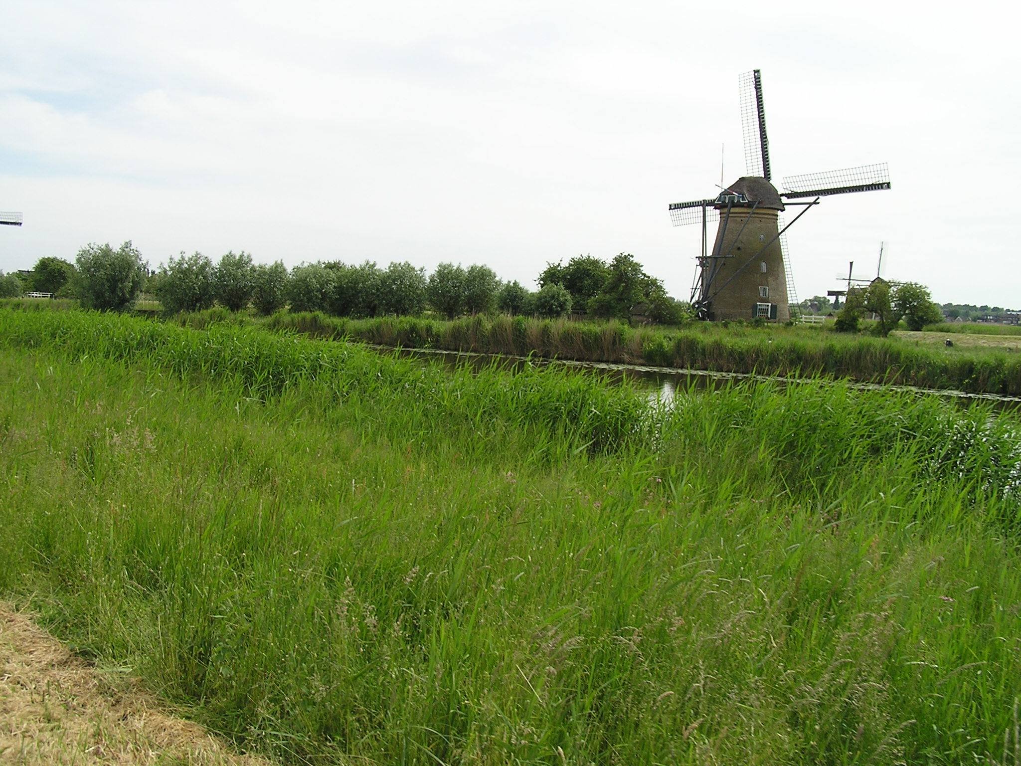 P1010044.JPG