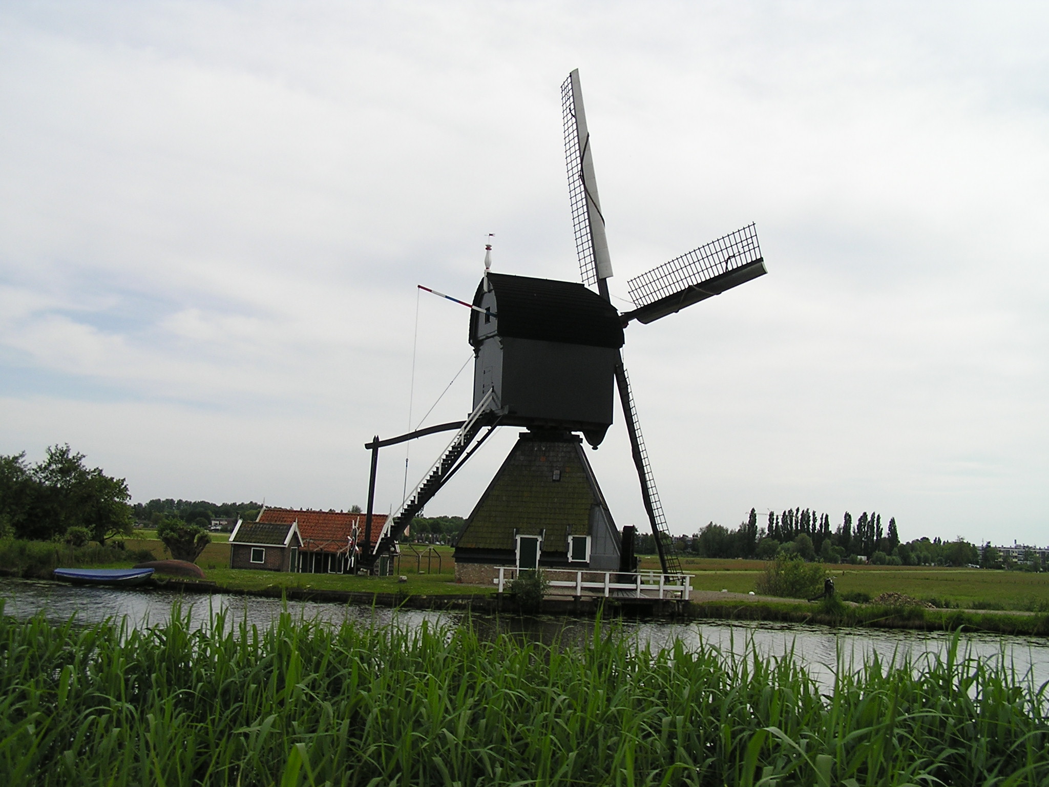 P1010047.JPG