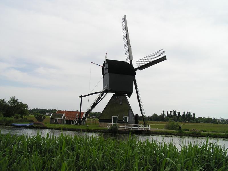 P1010047.JPG