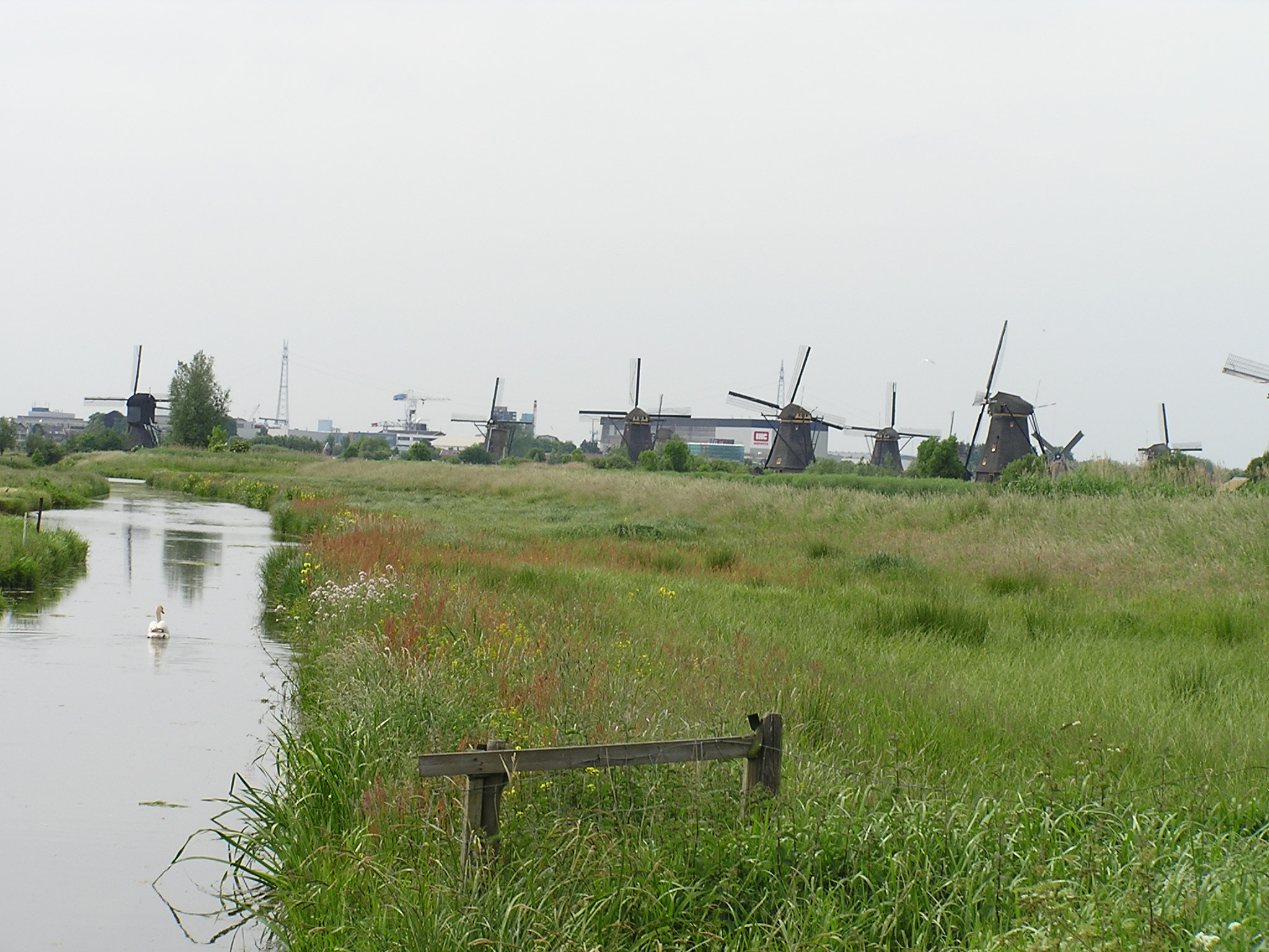 P1010055.JPG