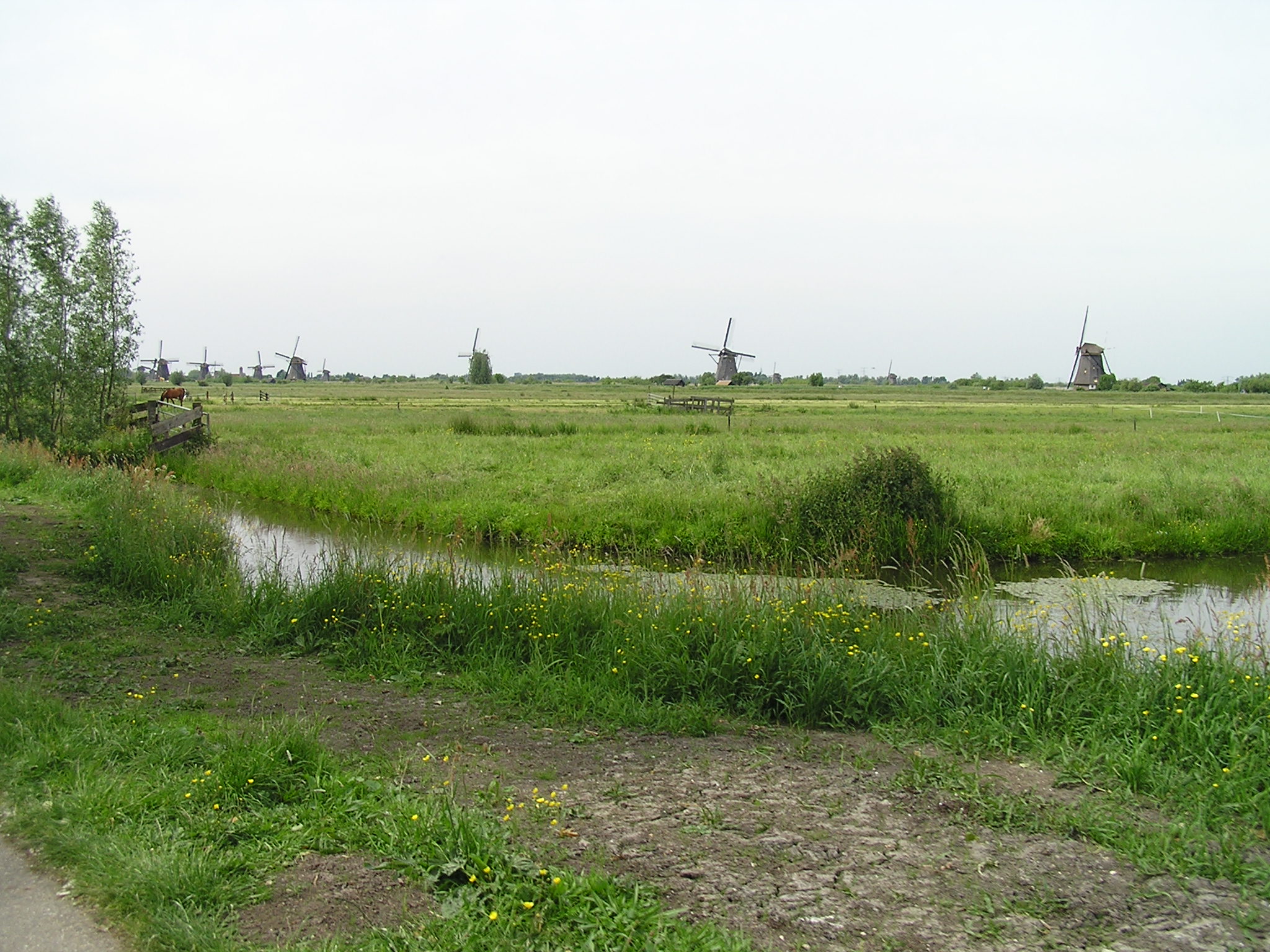 P1010058.JPG