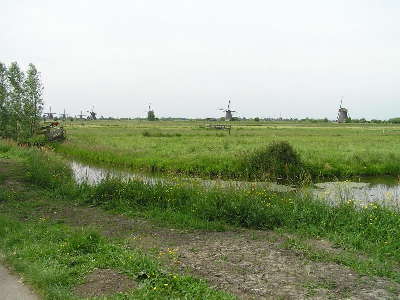 P1010058.JPG