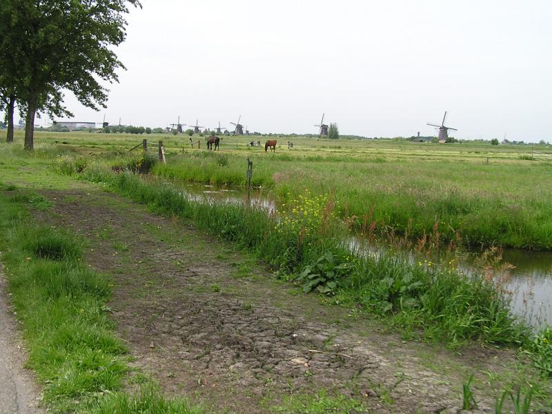 P1010059.JPG