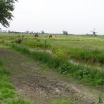 P1010059.JPG