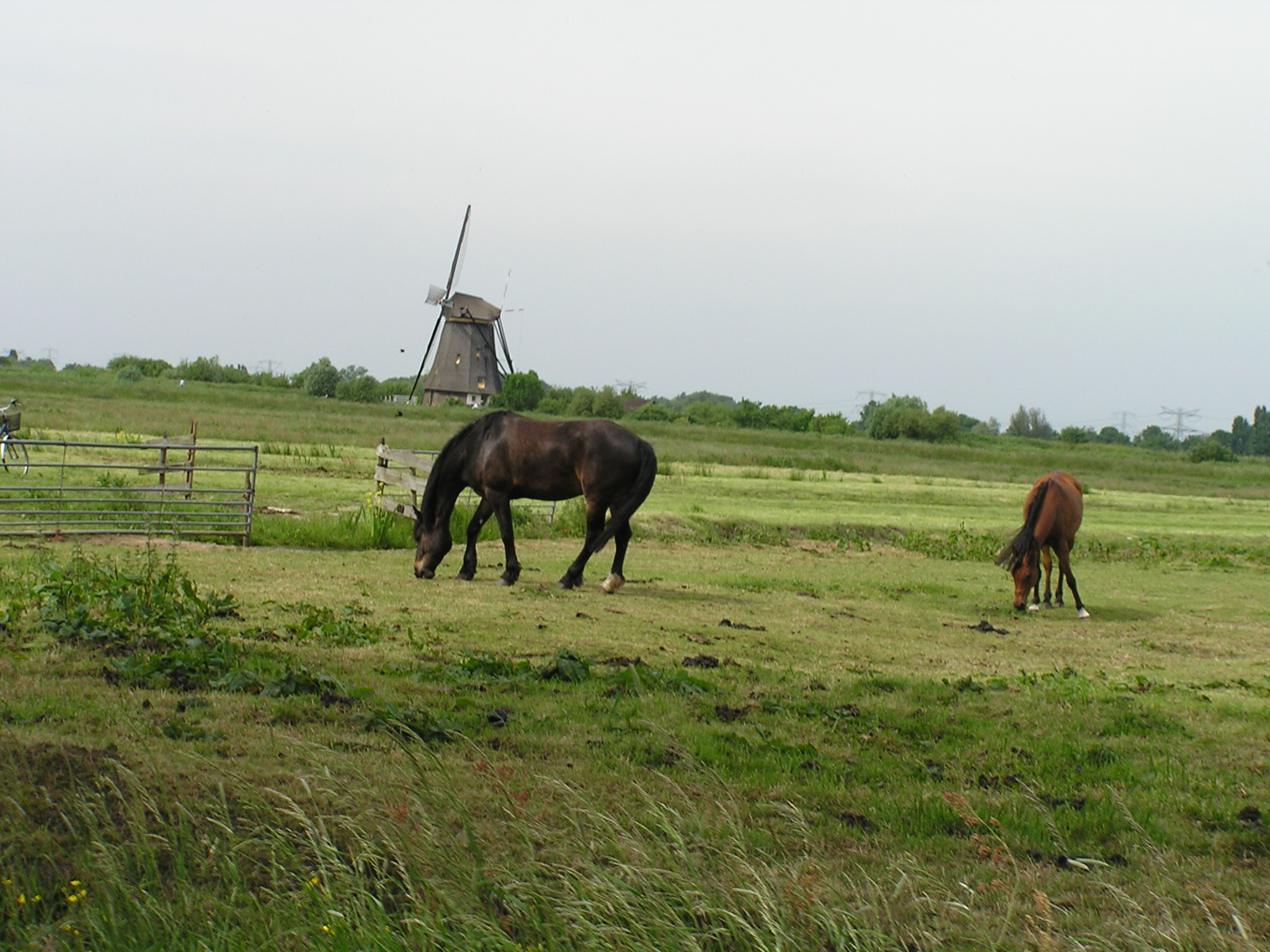 P1010061.JPG