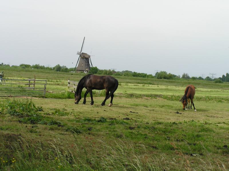 P1010061.JPG