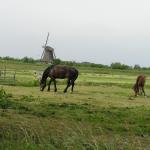 P1010061.JPG