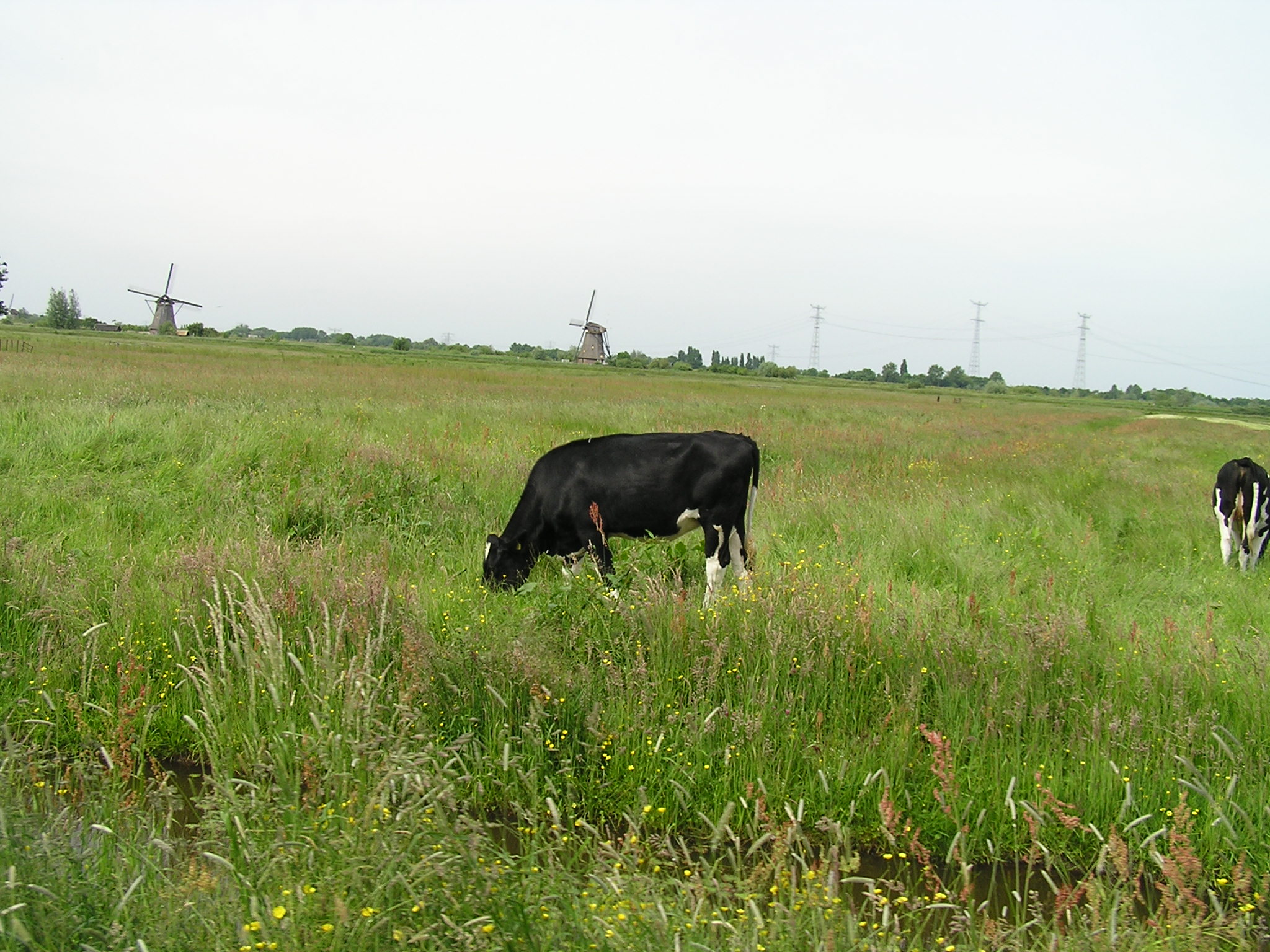 P1010063.JPG