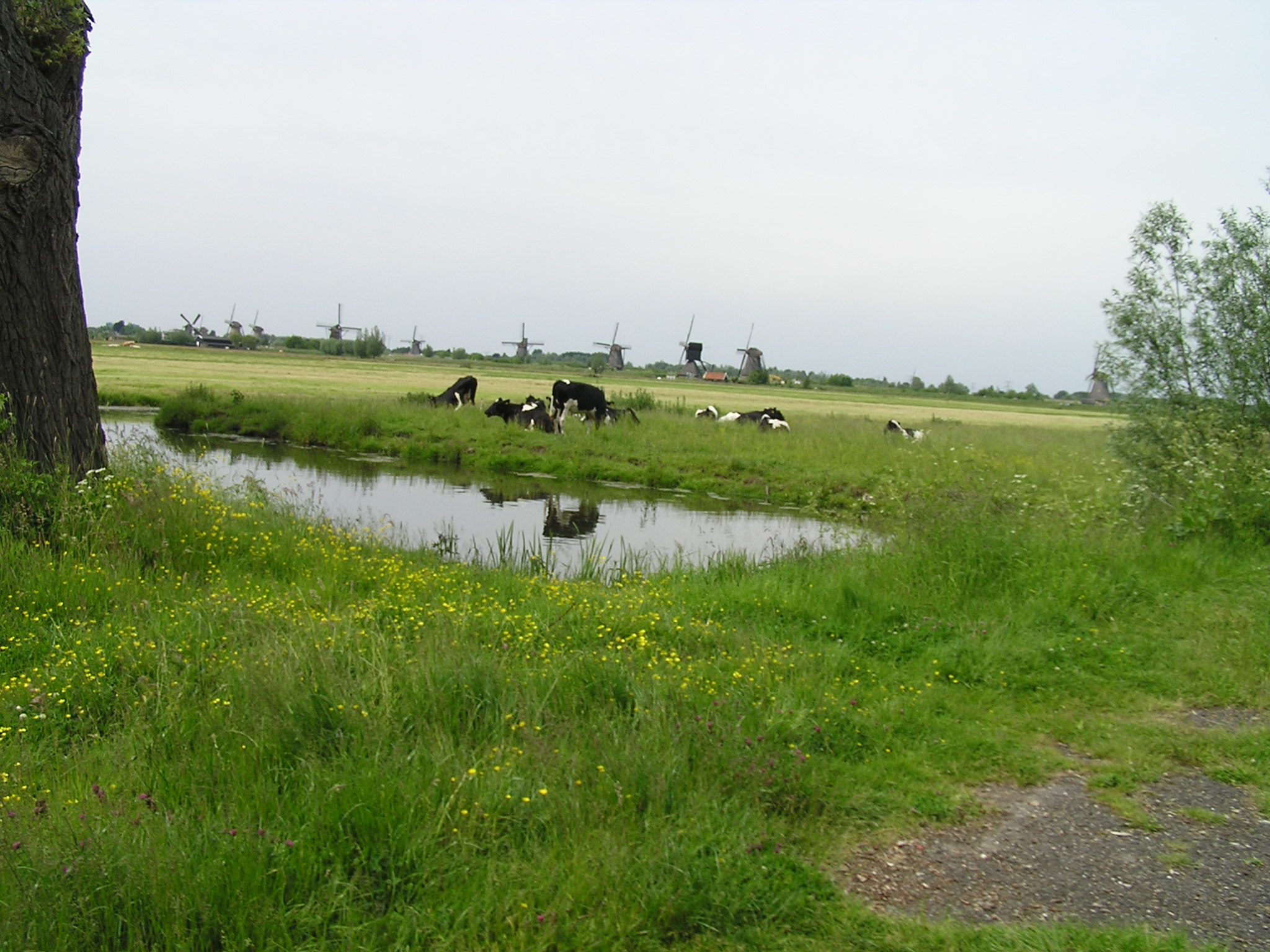 P1010069.JPG