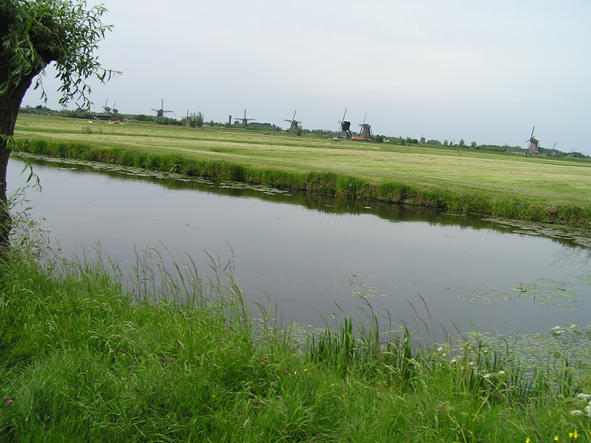 P1010070.JPG