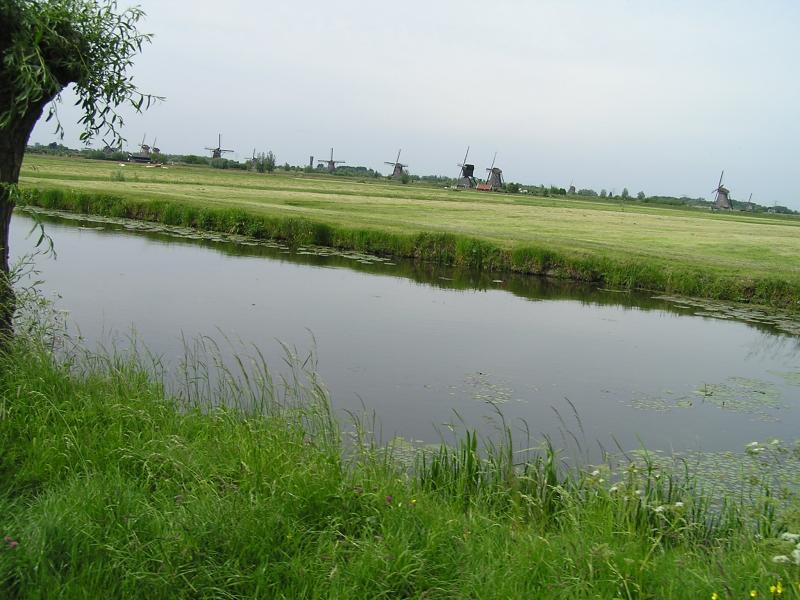 P1010070.JPG