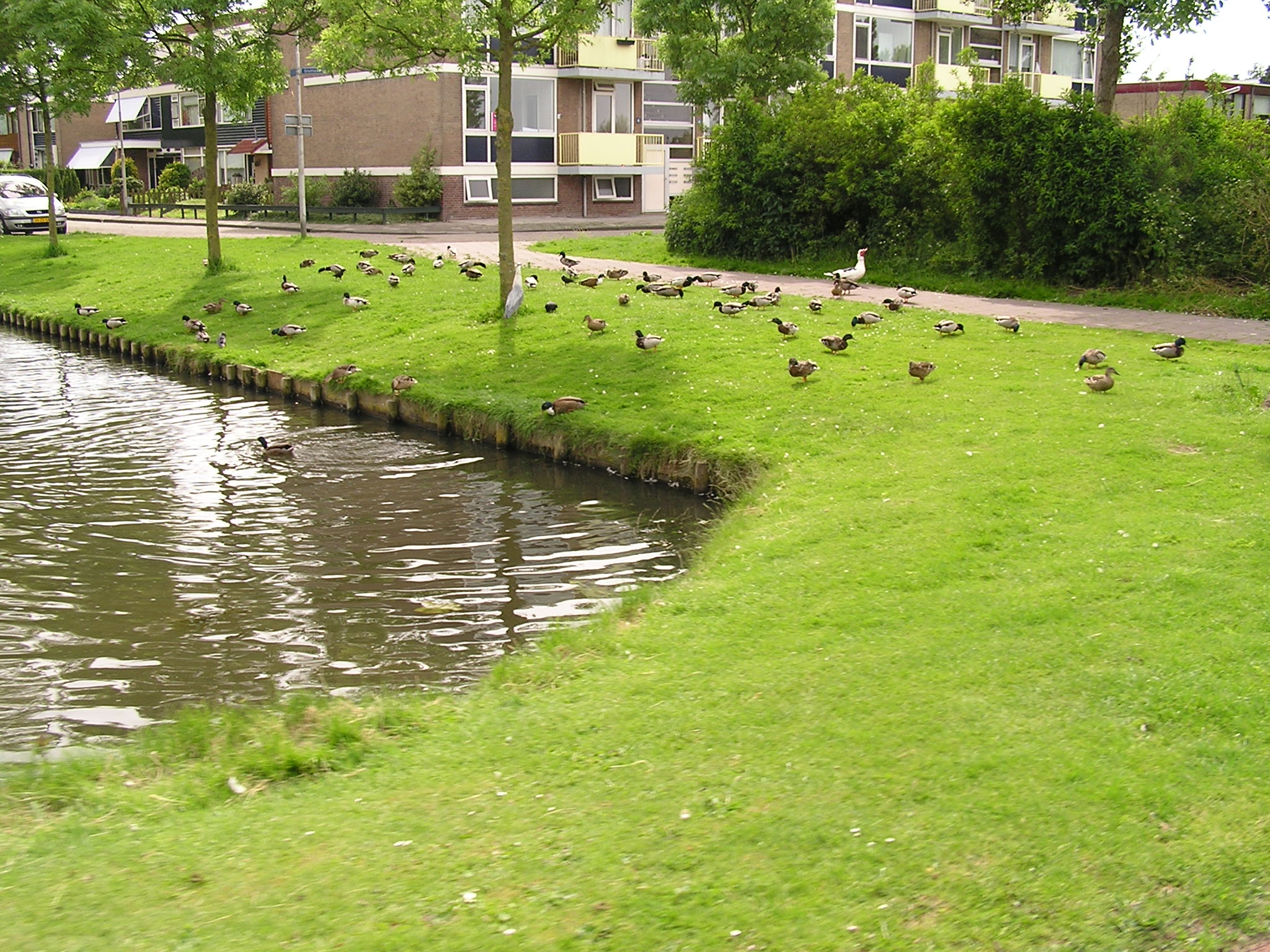 P1010072.JPG
