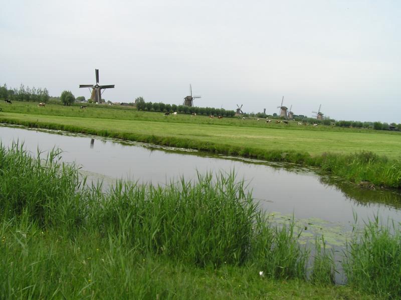 P1010073.JPG