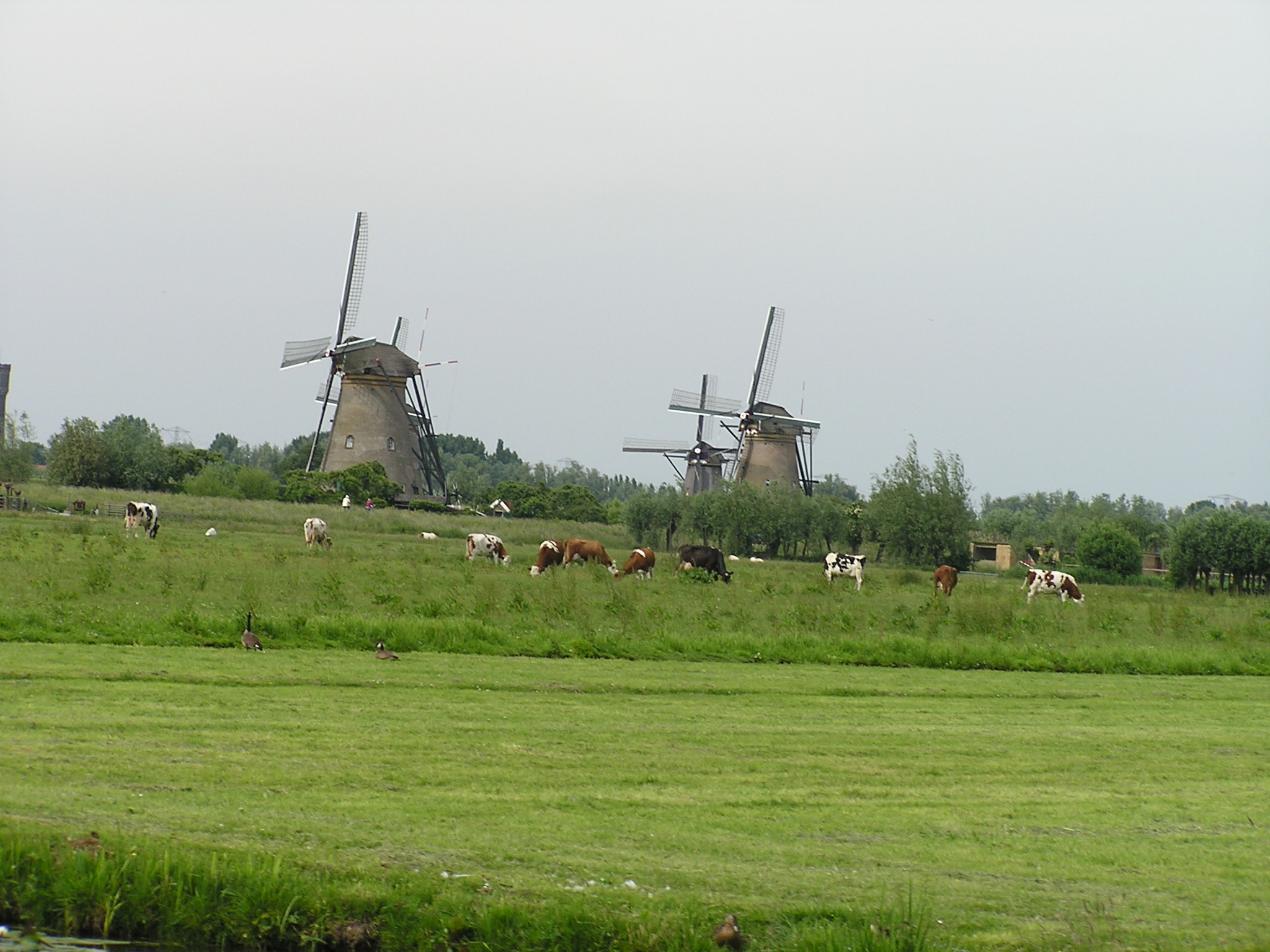 P1010074.JPG