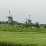 P1010074.JPG