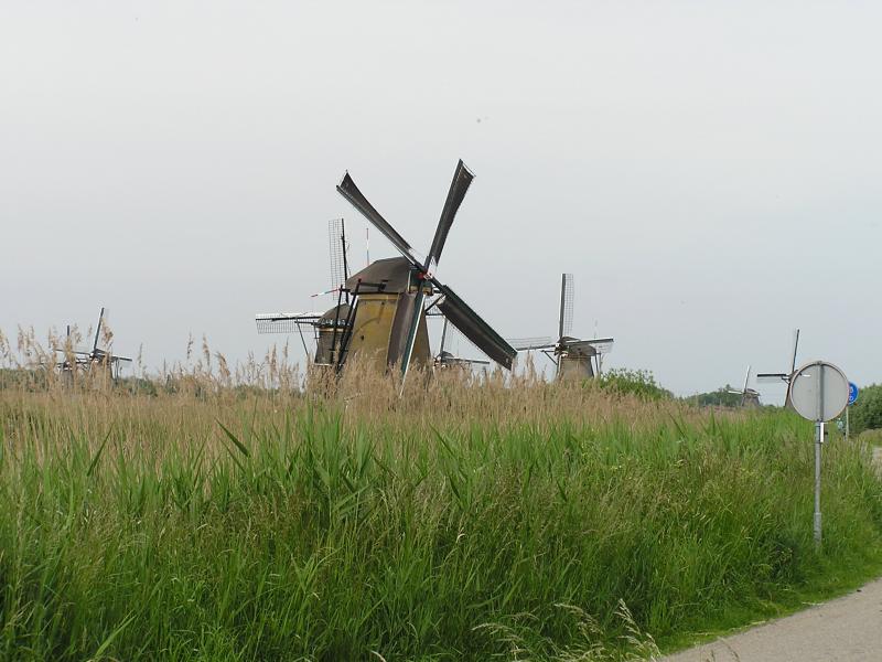 P1010077.JPG