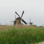 P1010077.JPG