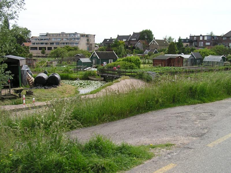 P1010079.JPG