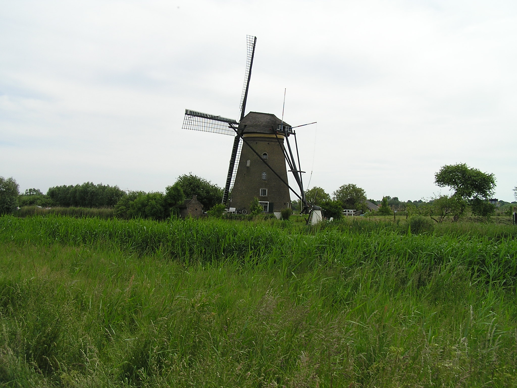 P1010045.JPG