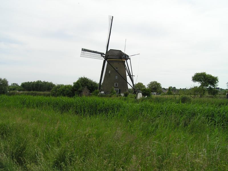 P1010045.JPG