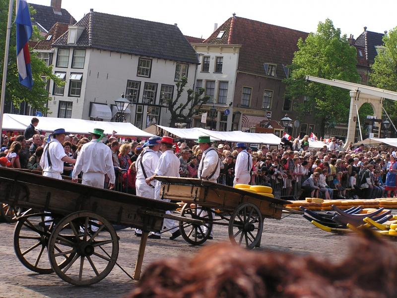 P1010036.JPG