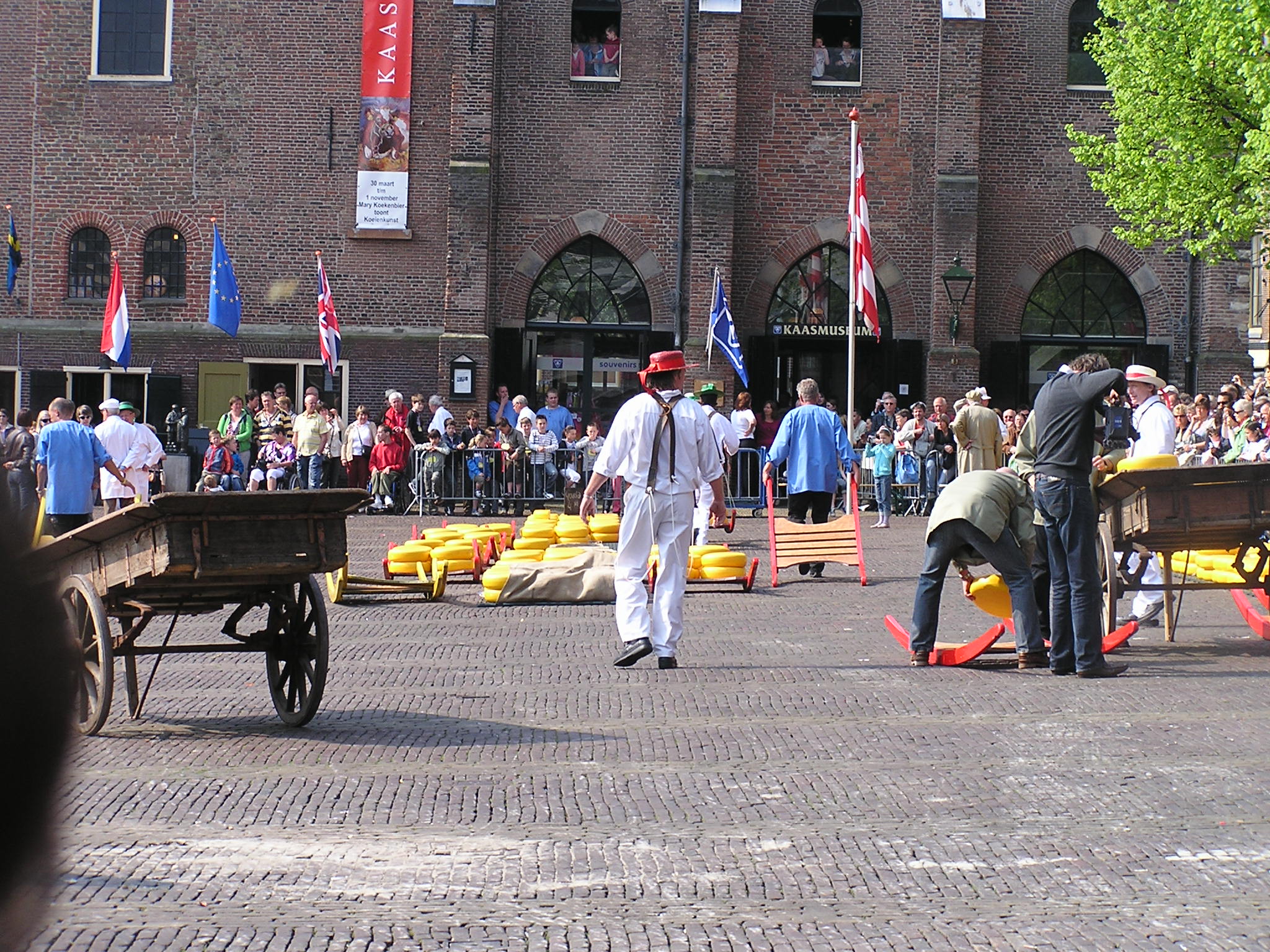 P1010060.JPG